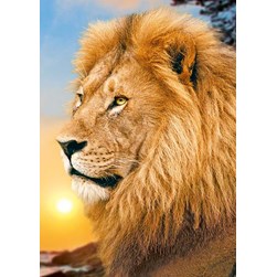 Broderie diamant Wizardi Le lion à l'aube