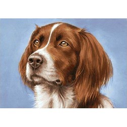 Broderie diamant Wizardi Portrait de Setter