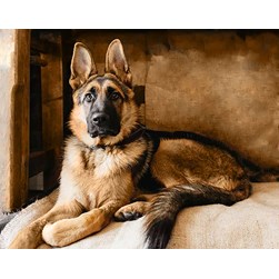 Broderie diamant Wizardi Noblesse du berger allemand