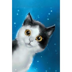 Broderie diamant Wizardi Chat à la nuit turquoise