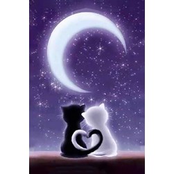 Broderie diamant Wizardi Un lien spacieux et lunaire