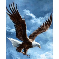 Broderie diamant Wizardi Aigle en plein vol