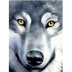 Broderie diamant Wizardi Regard de loup