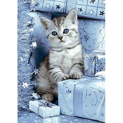 Broderie diamant Wizardi Le chaton de noël